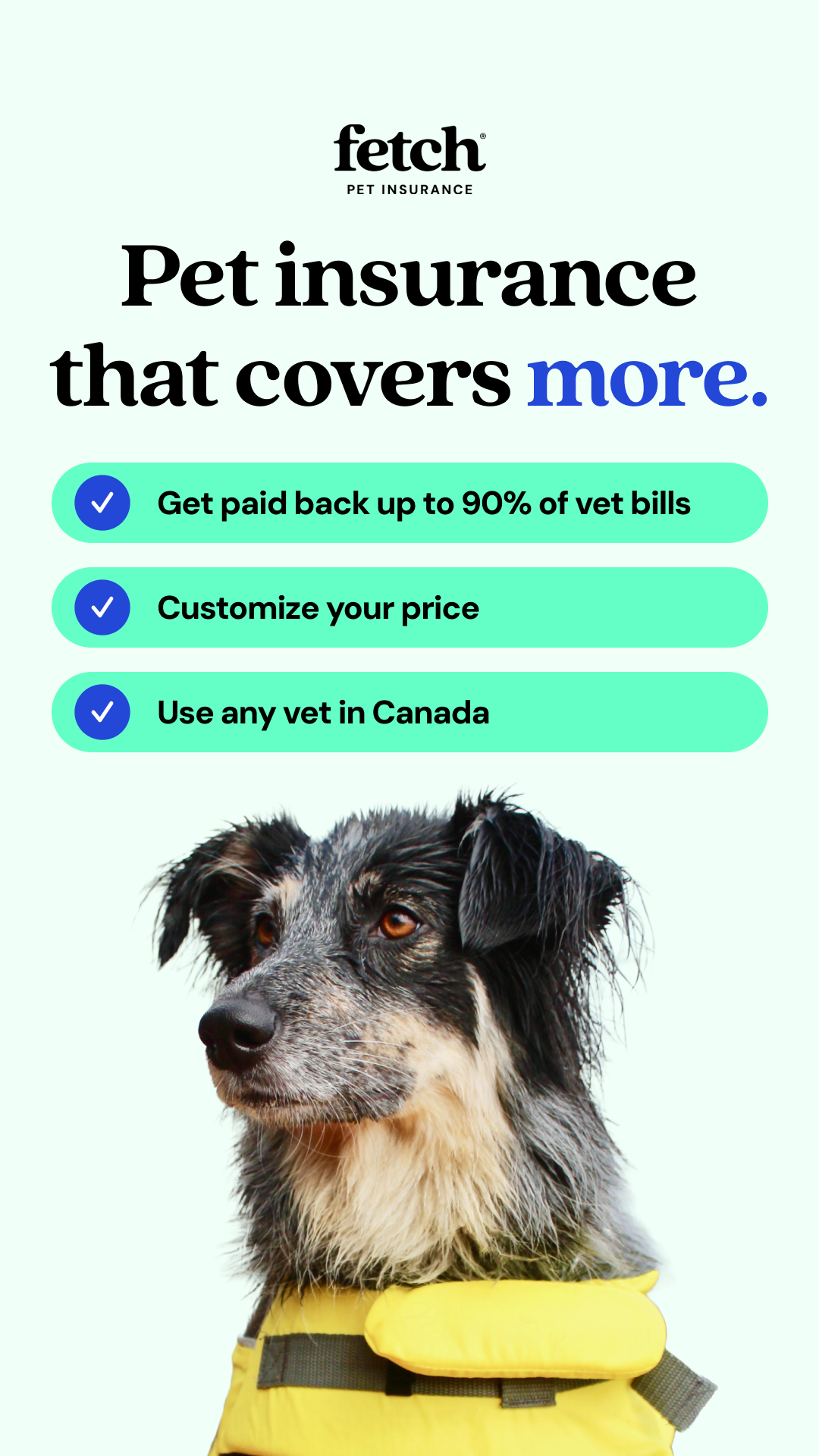 Fetch Pet Insurance Facebook ad