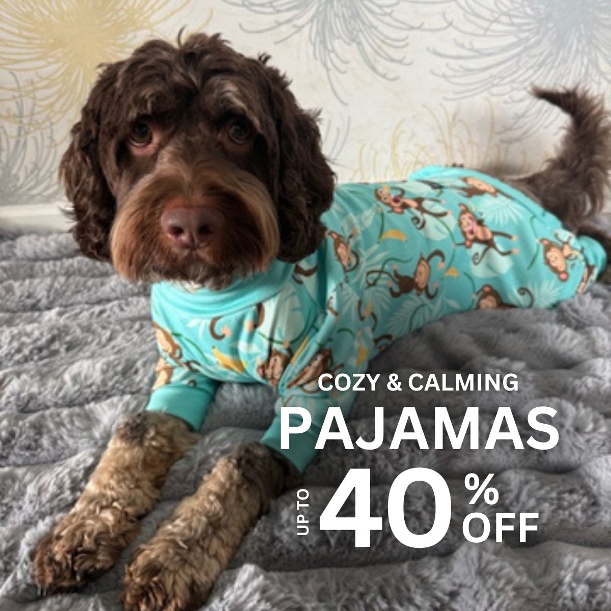 Spark Paws Facebook ad