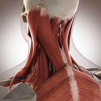 Cilliers & Swart Physiotherapy Facebook ad