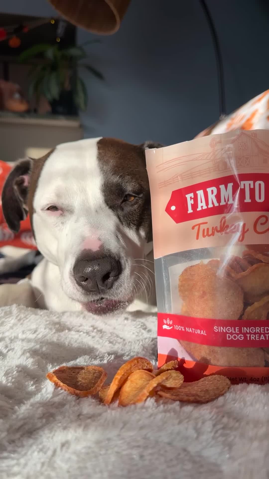 Farm To Pet Facebook ad