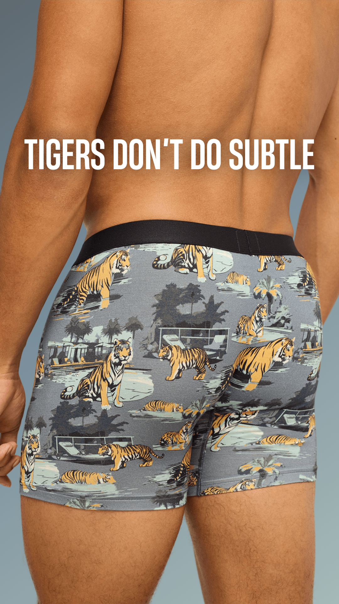 MeUndies Facebook ad