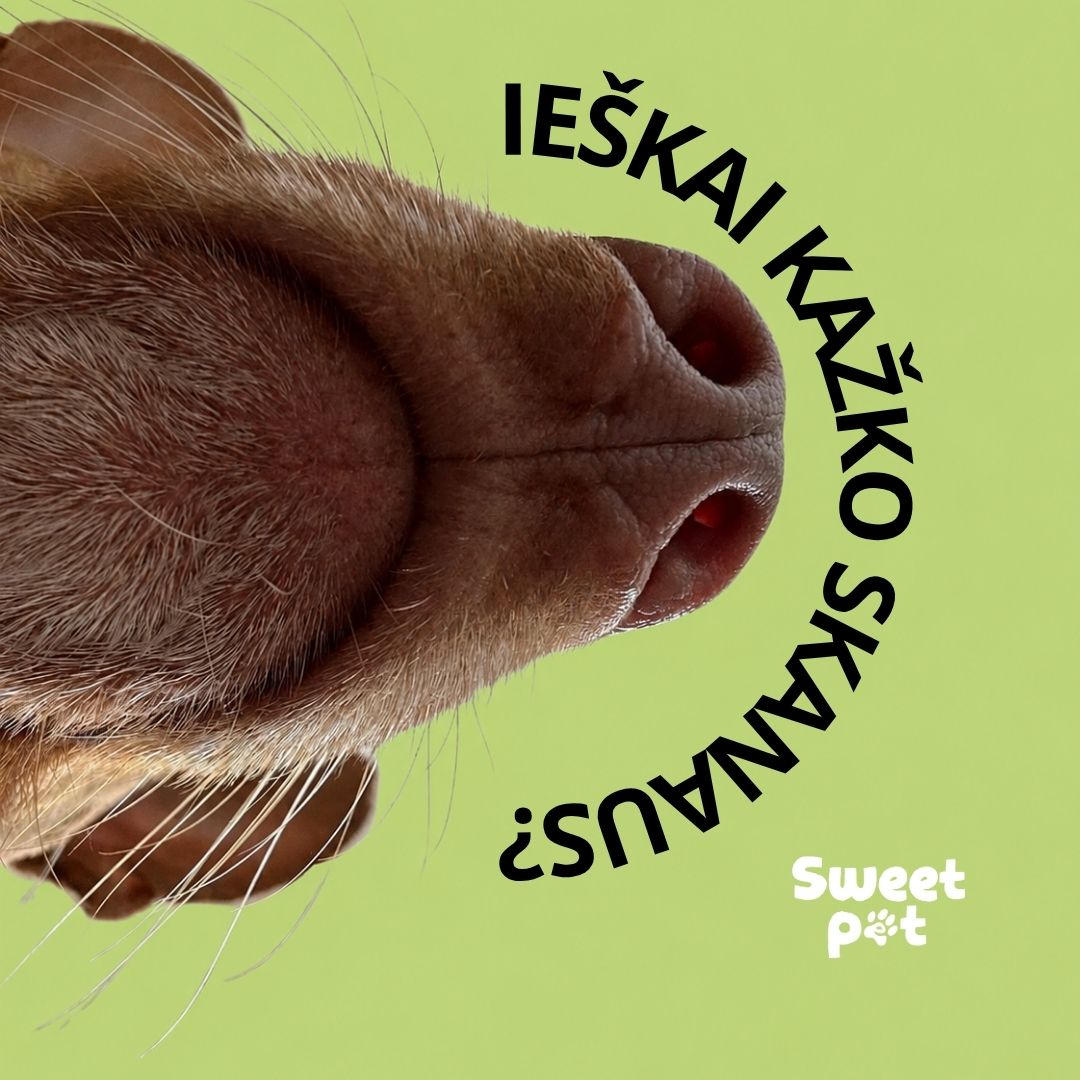 Sweet Pet Facebook ad: Natūralūs skanėstai jūsų augintiniui