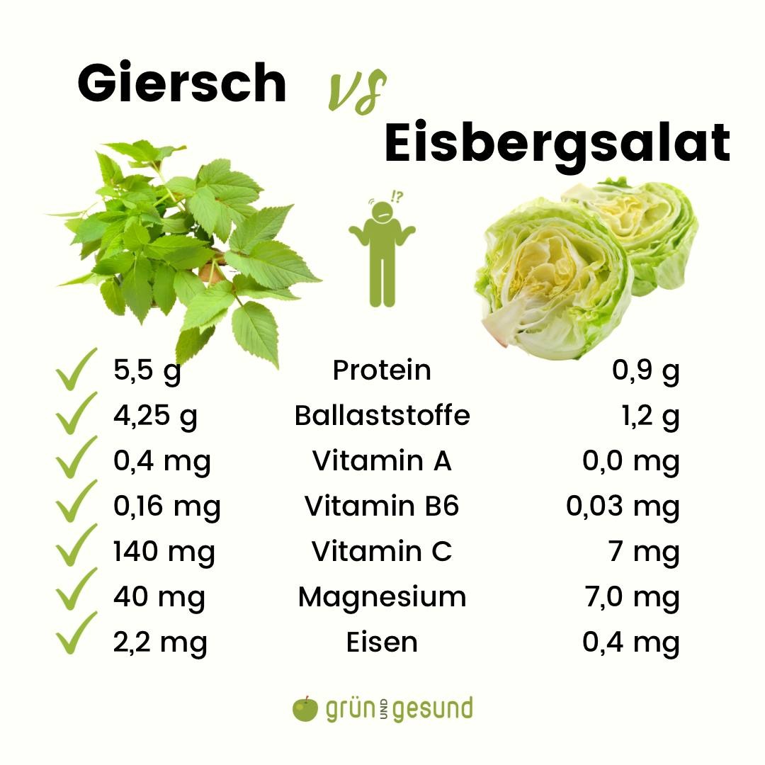 Grün & Vital Facebook ad: In 3 Schritten zum Selbstversorger mit essbaren Wildpflanzen