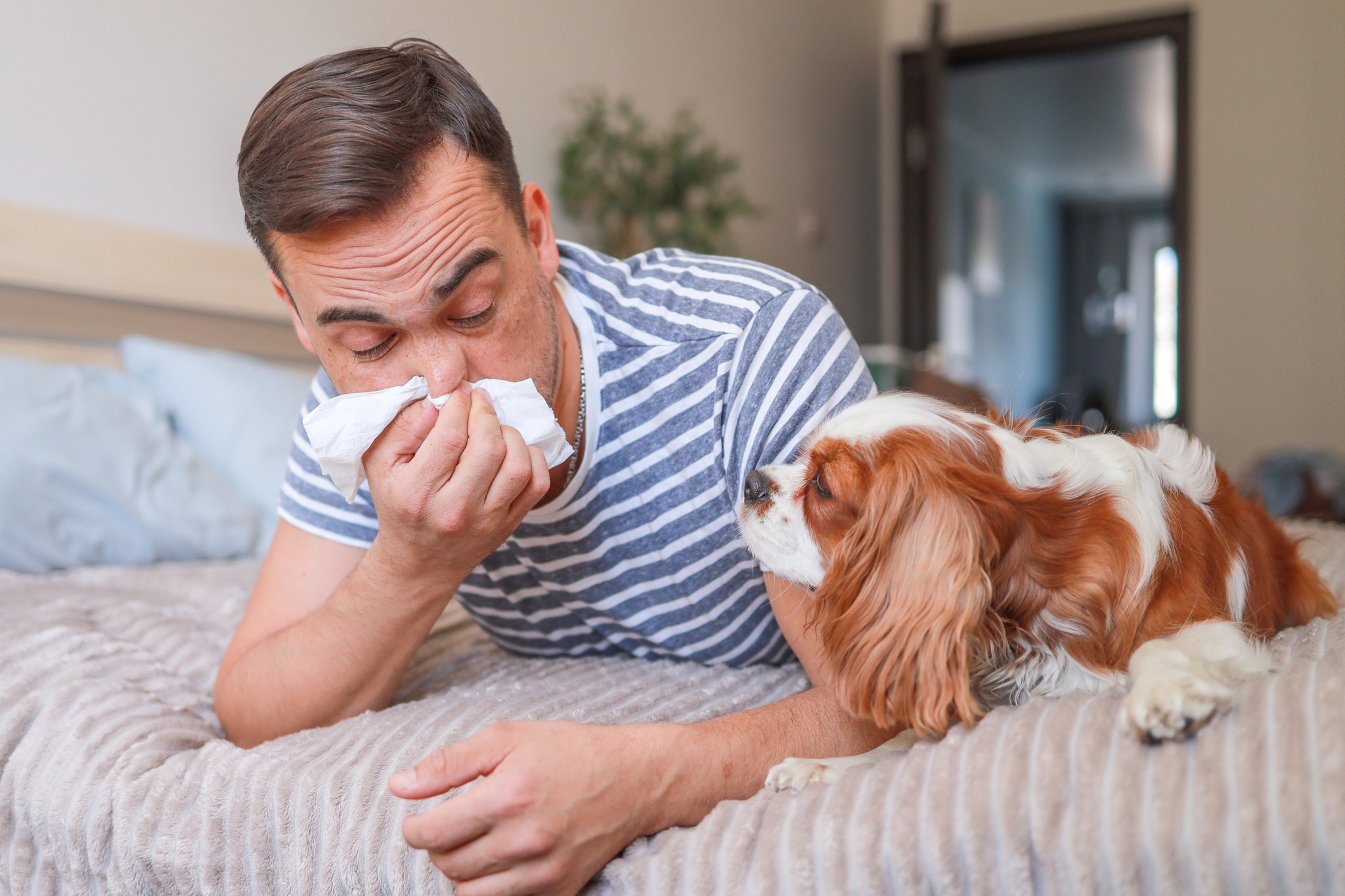 Sove CPAP Clinic Facebook ad