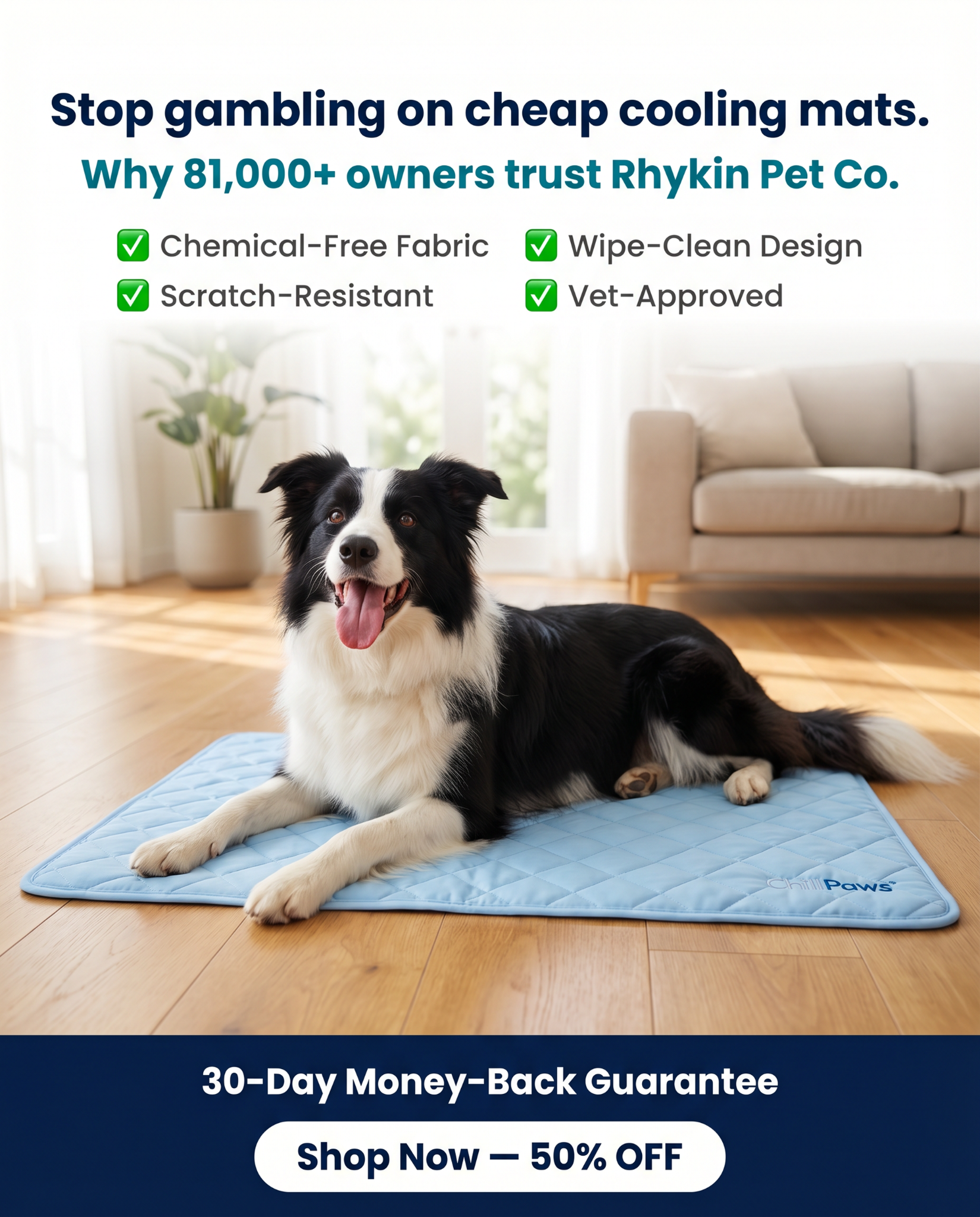 Rhykin Pet Co Facebook ad
