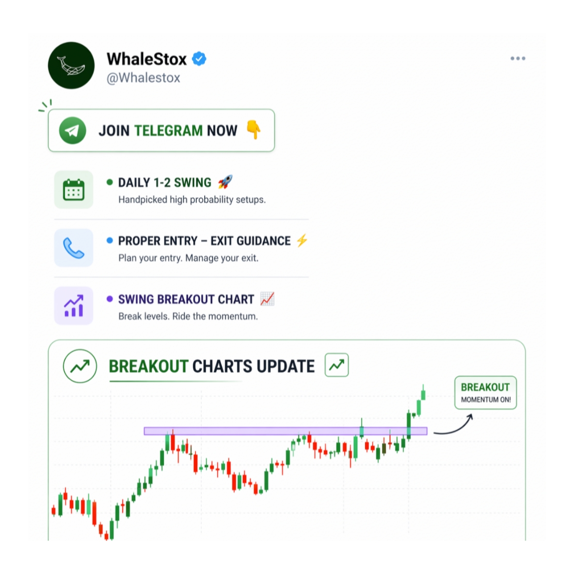 The Whalestox Facebook ad: Join Telegram now