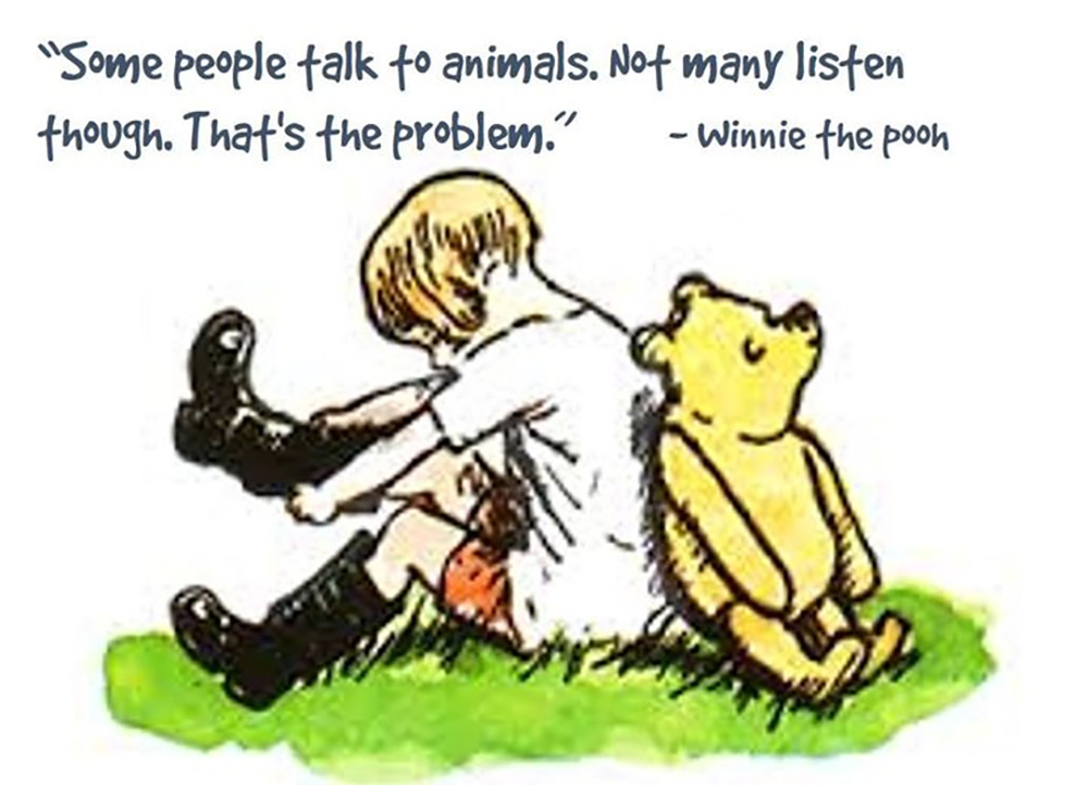 Animal Matters Facebook ad