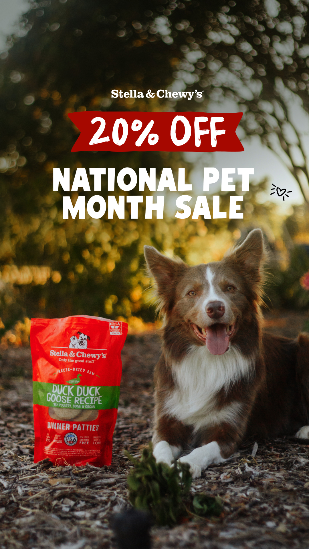 Stella & Chewy's Facebook ad