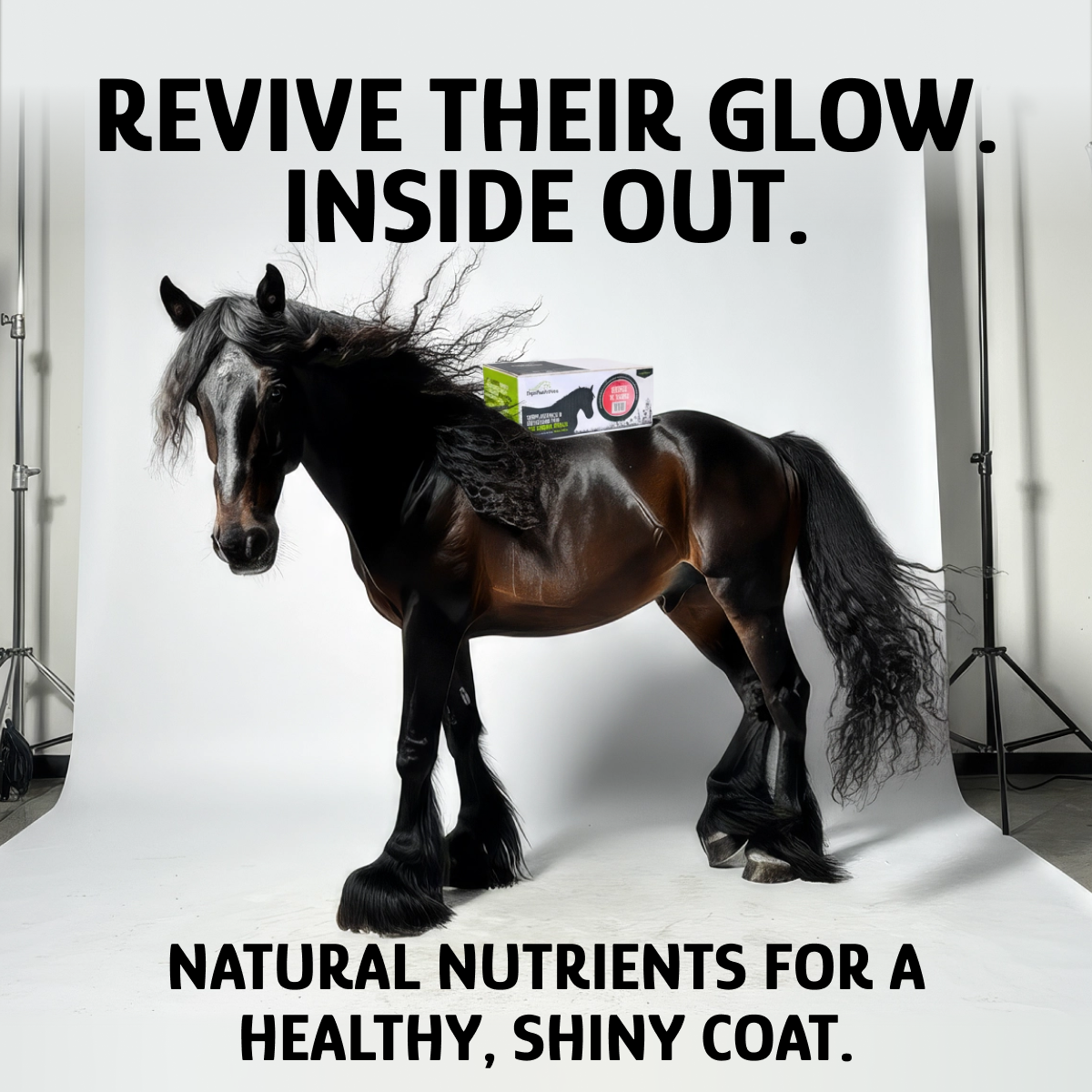 EquiNutritive Facebook ad