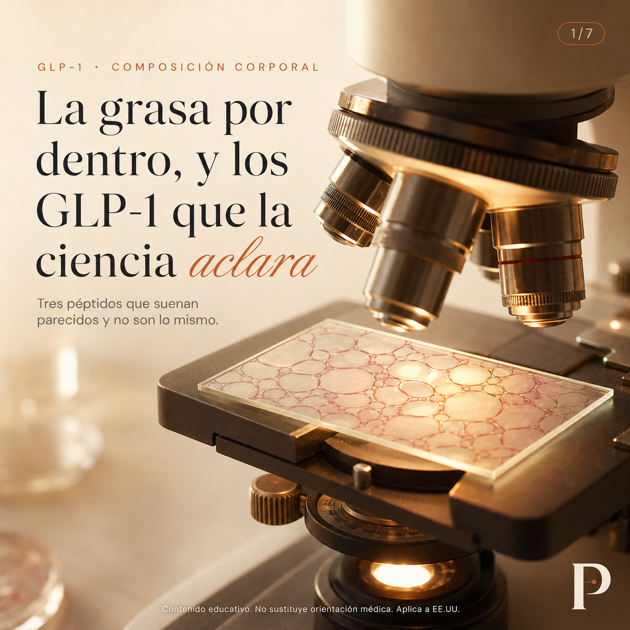 Prime Physique Facebook ad: Todo el mundo habla de los péptidos GLP-1…
