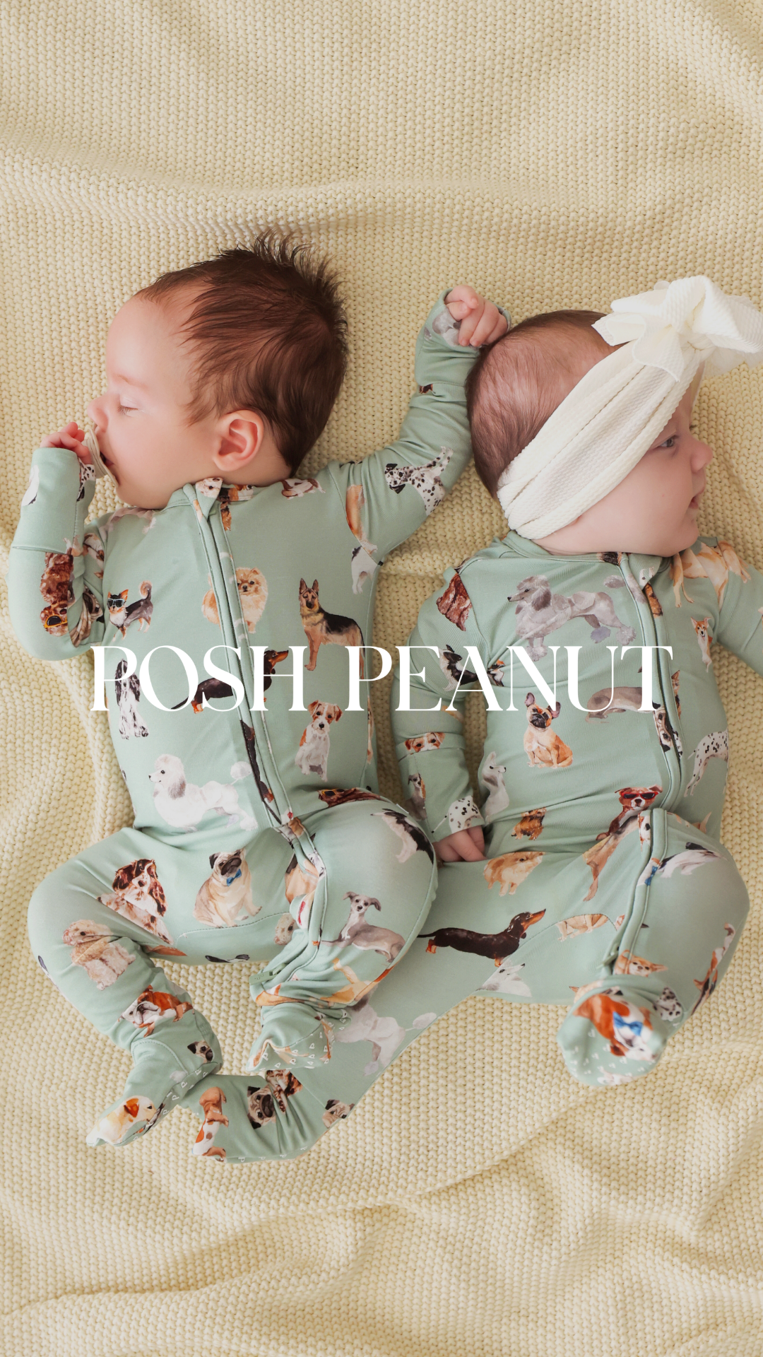 Posh Peanut Facebook ad