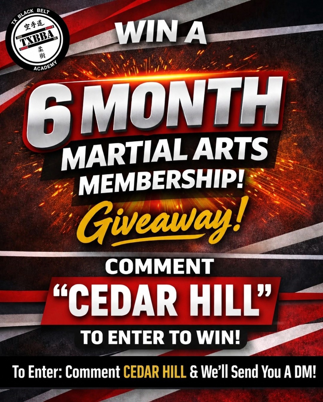 TX Black Belt Academy Facebook ad: Want in?