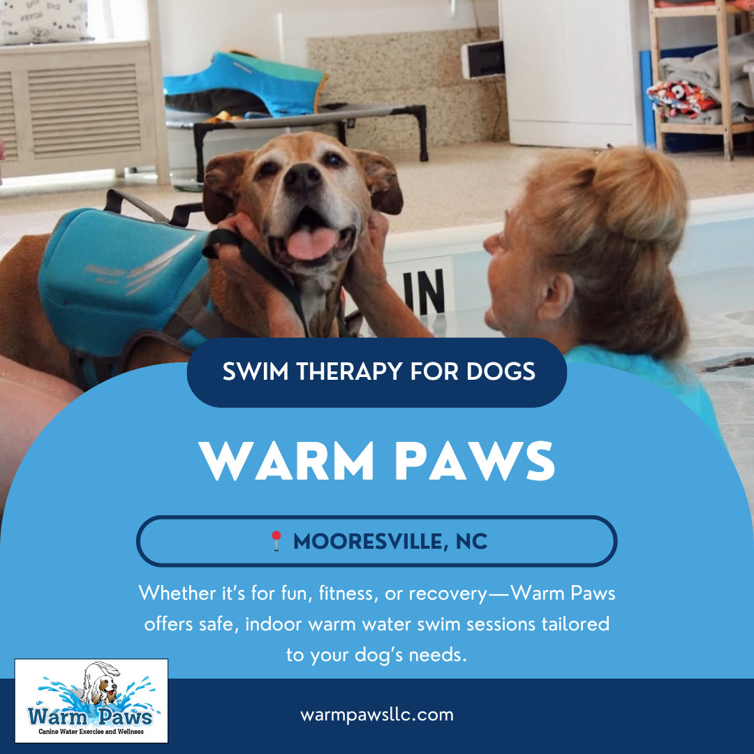 Warm Paws Facebook ad: Bring your dog to check us out!