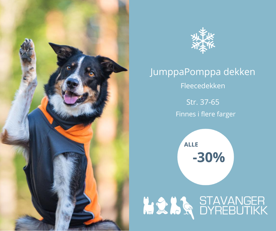 Stavanger Dyrebutikk Facebook ad