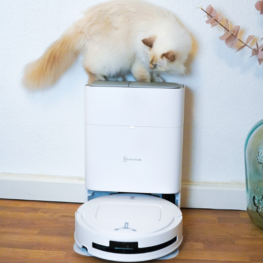 ECOVACS ROBOTICS Facebook ad