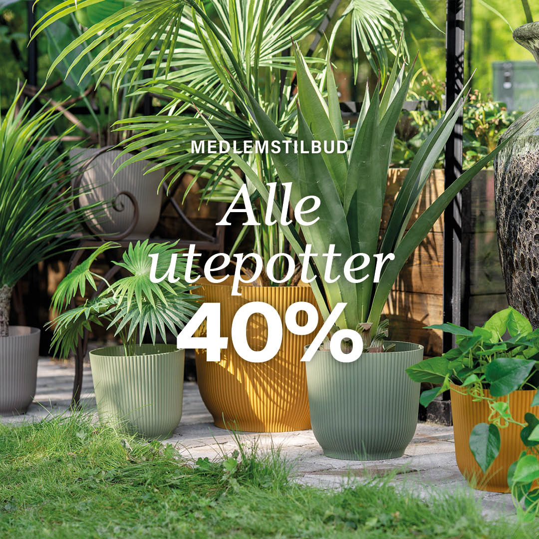 Kremmerhuset Facebook ad