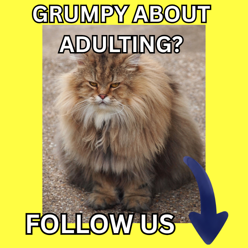 Adulting Is Hard Facebook ad: Adulting feel harder than expected?