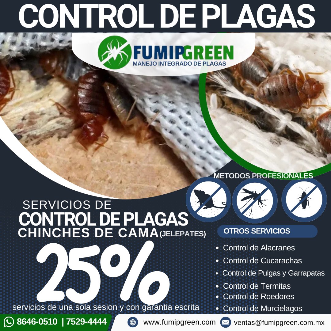 Fumipgreen Desinfección & Control de Plagas Facebook ad: ¿PROBLEMAS DE JELEPATES (CHINCHES DE CAMA)?