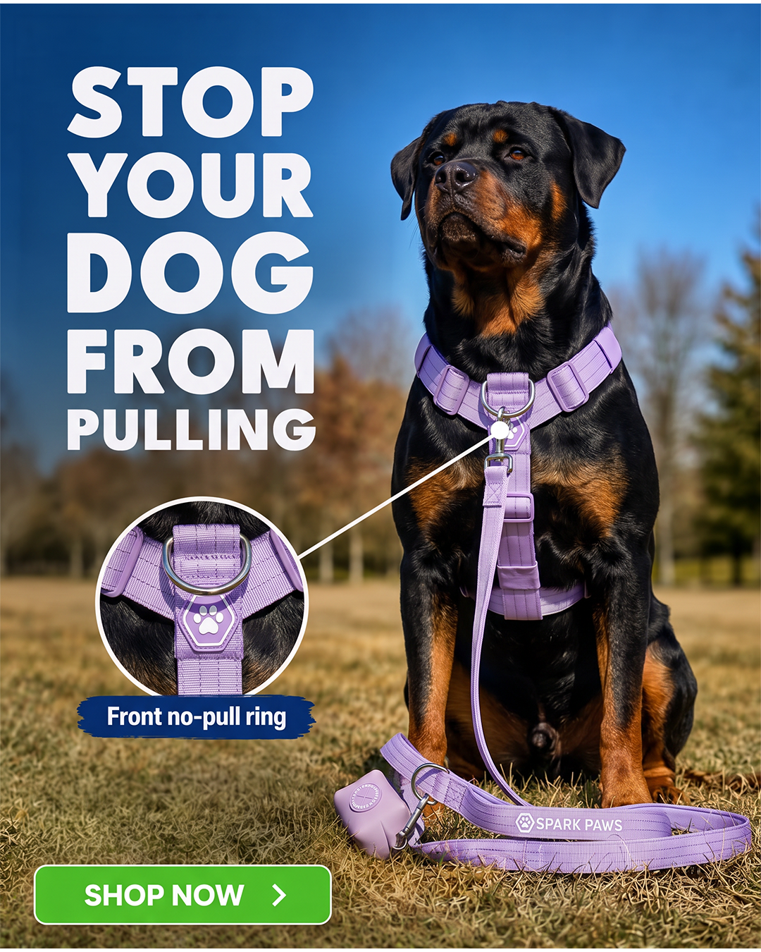 Spark Paws Facebook ad