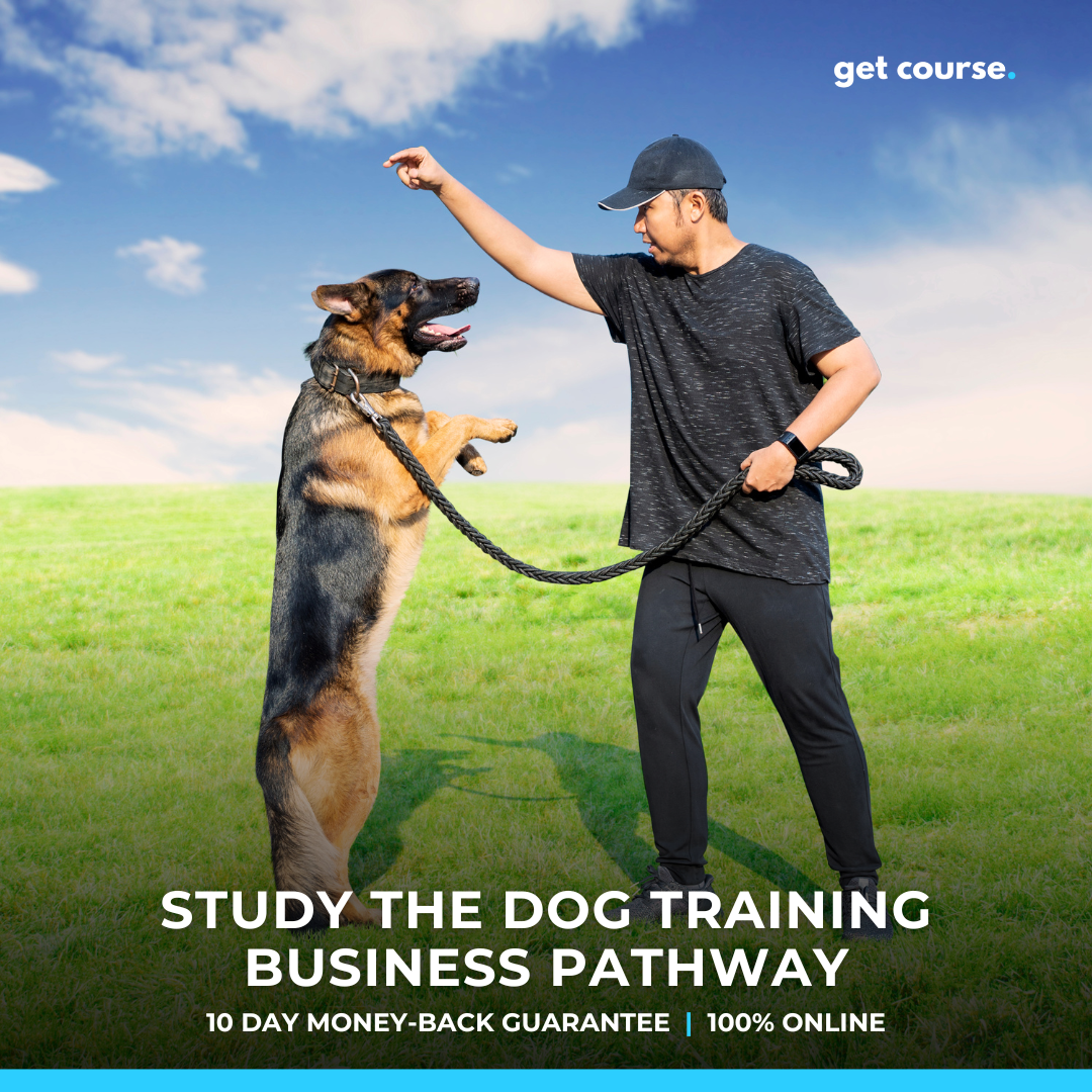 Get Course Co Facebook ad