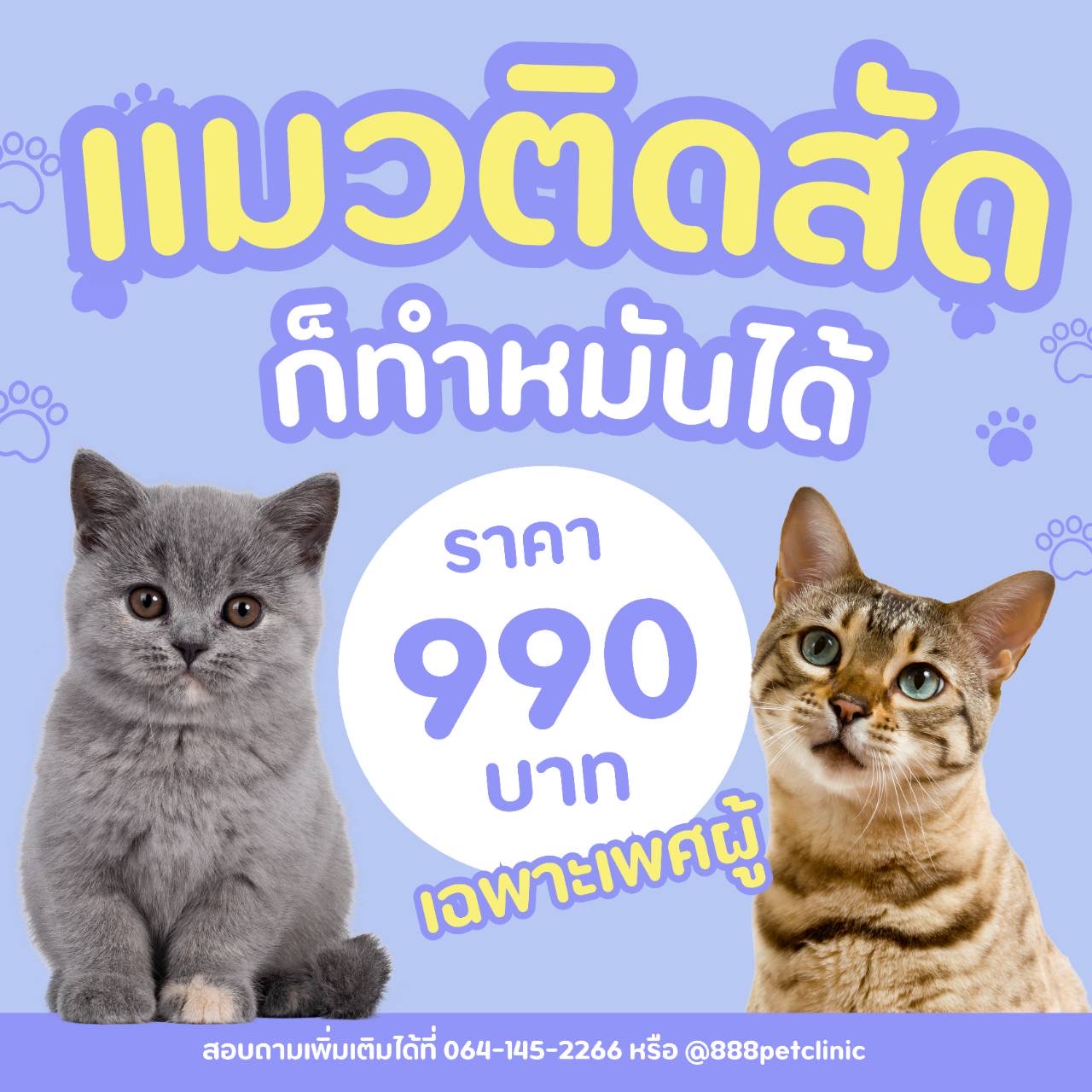 888 Pet Clinic Facebook ad
