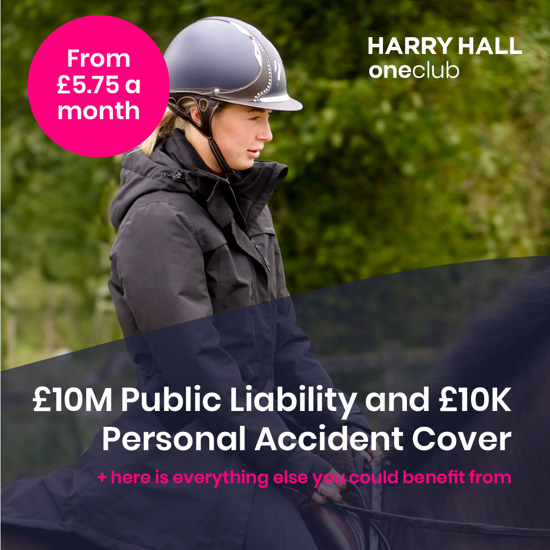 HarryHall.com Facebook ad