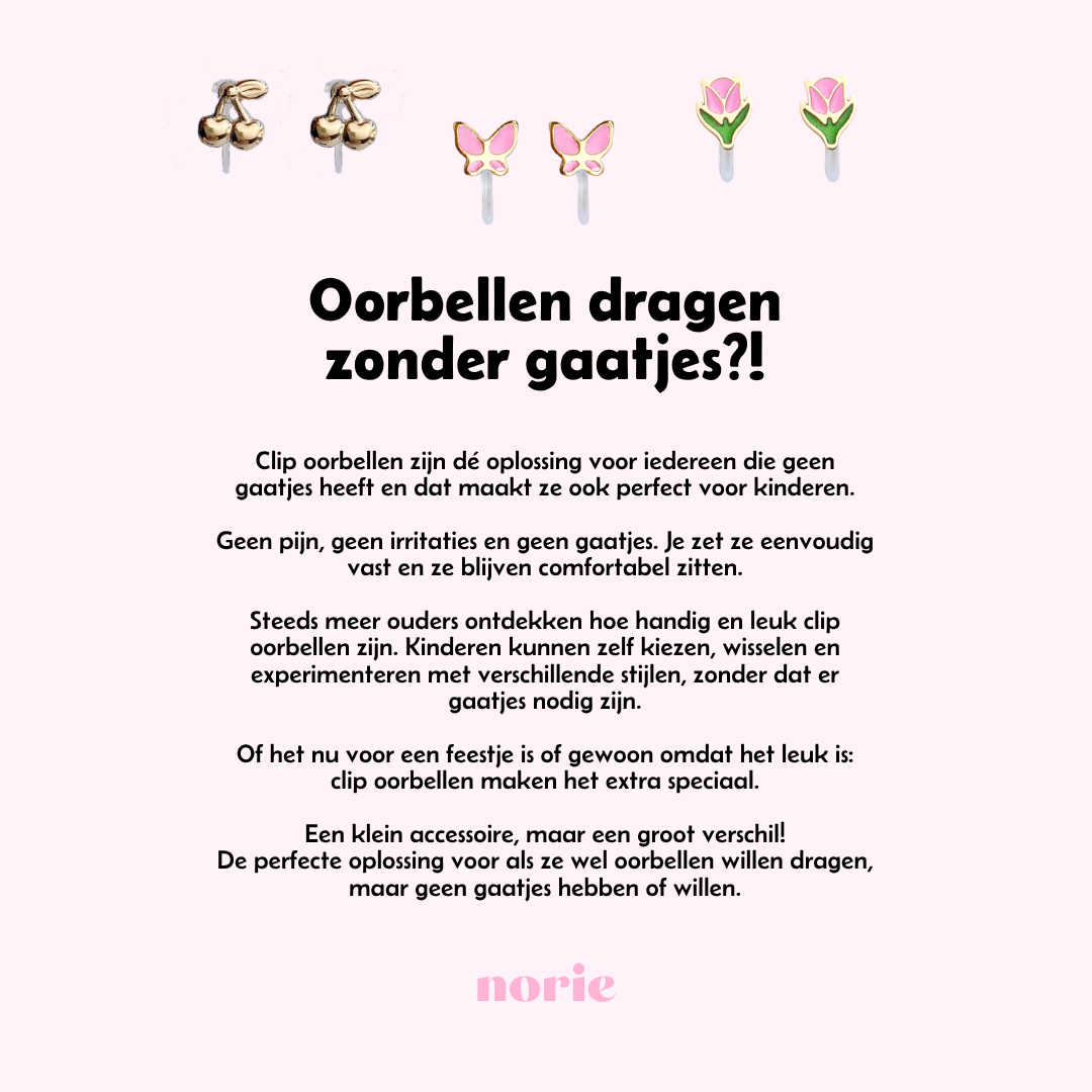 NORIE Facebook ad from Apr 13, 2026