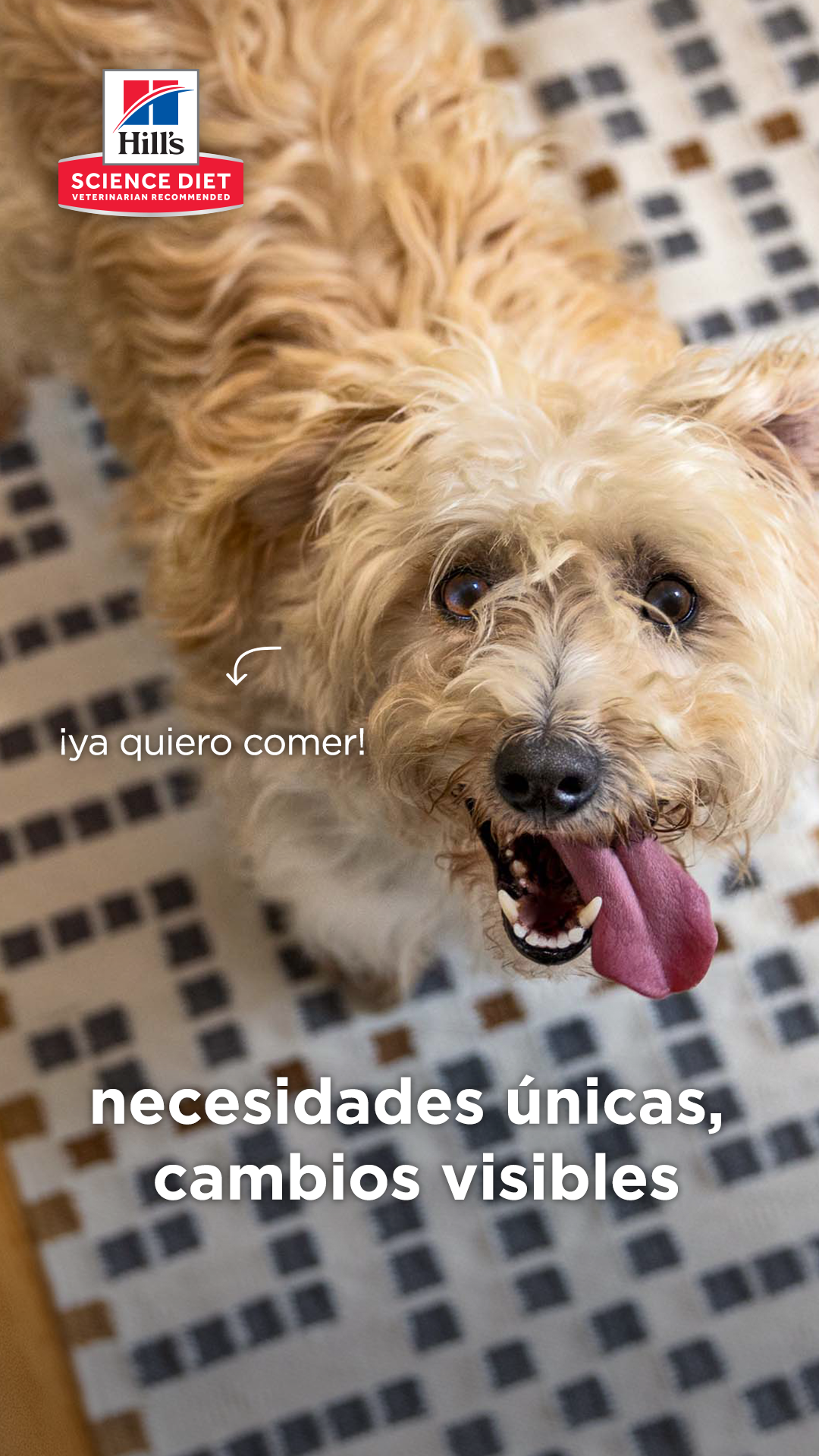 Hill's Pet Colombia Facebook ad