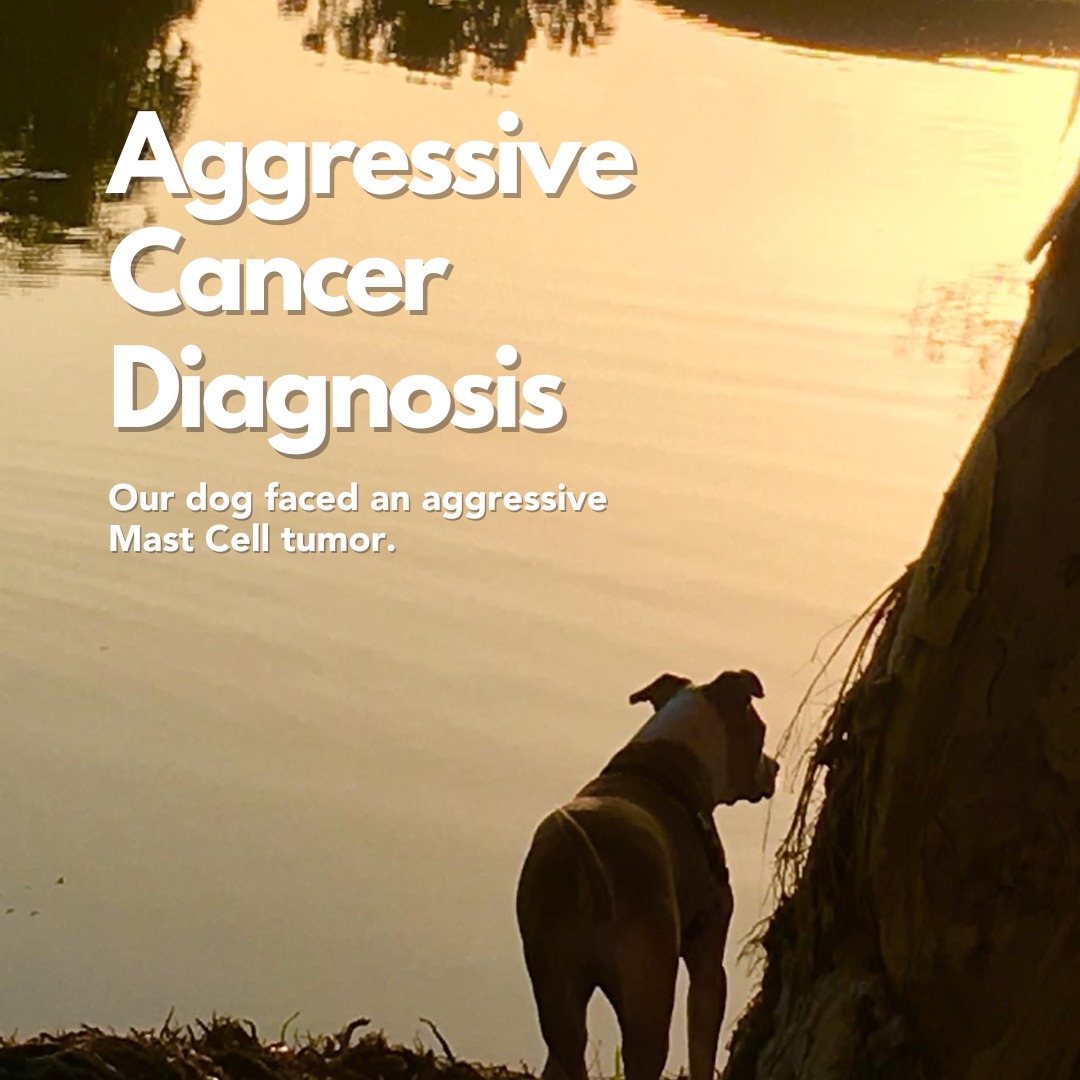 Pet Wellness Direct Facebook ad