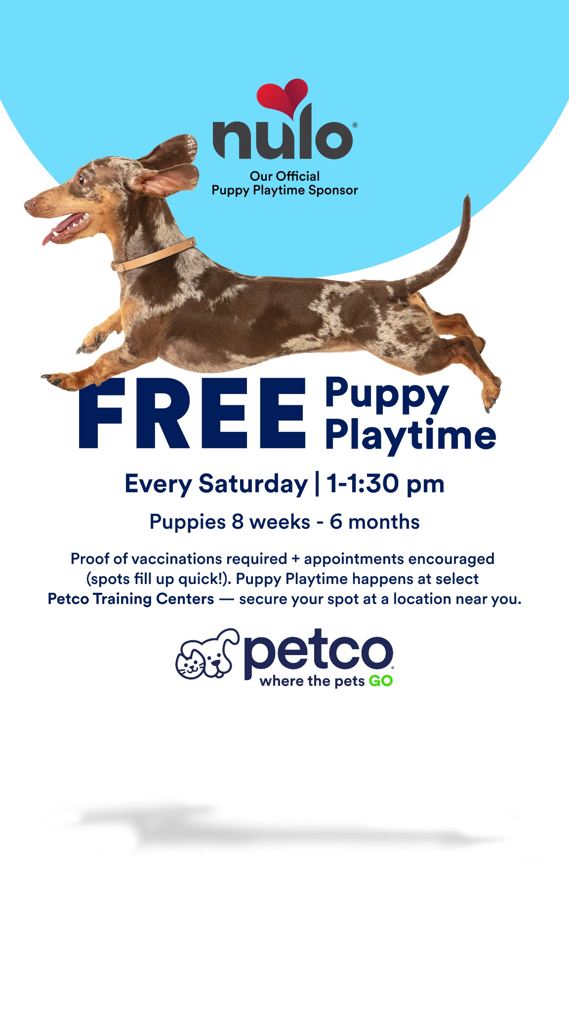Petco Facebook ad