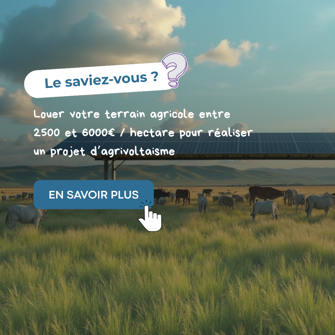 Digitalsun ENR  Facebook ad