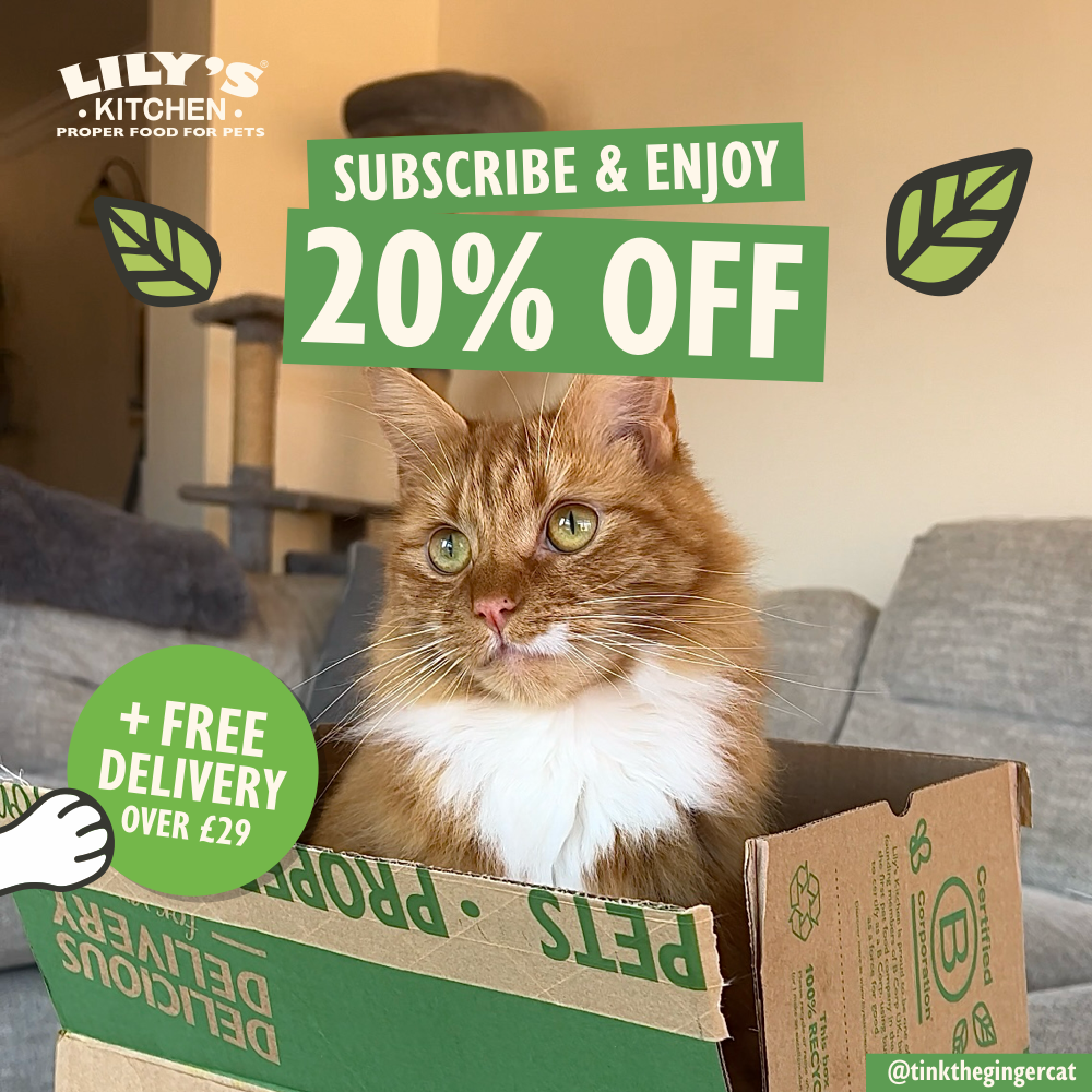 Lily's Kitchen Facebook ad