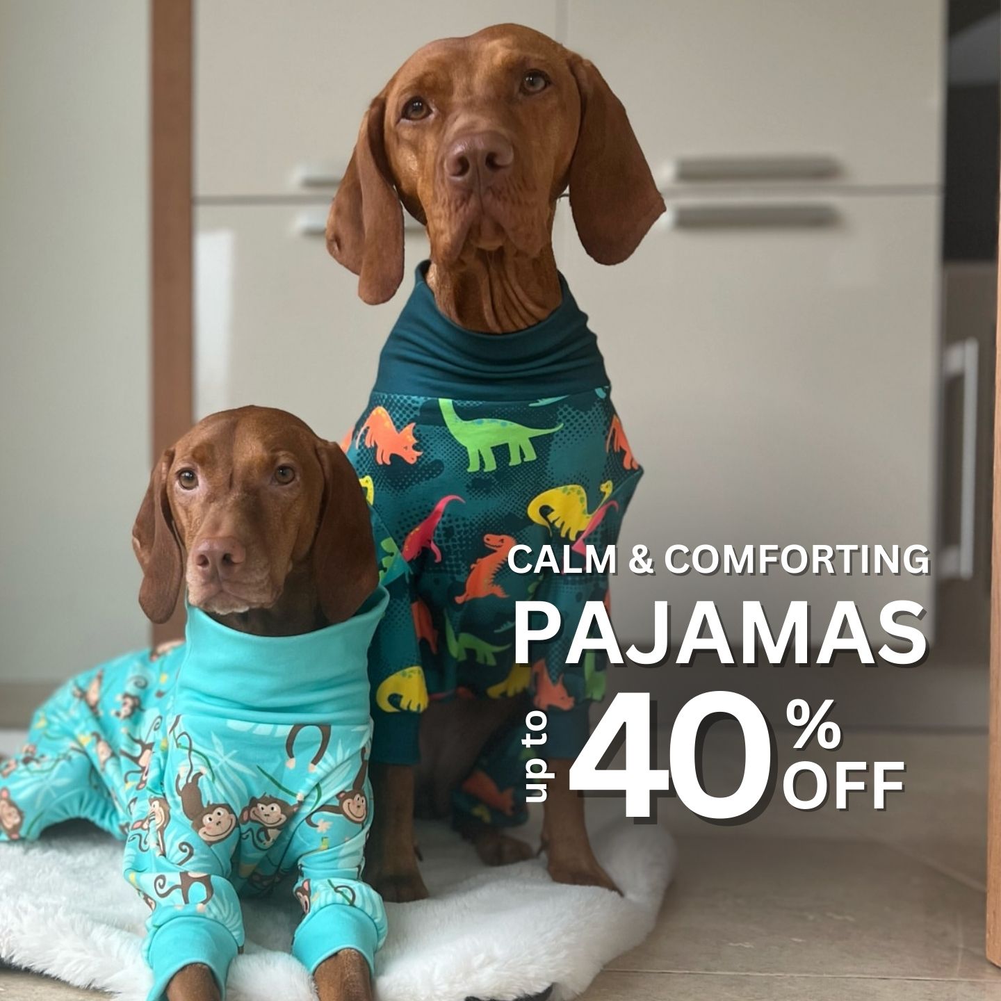 Spark Paws Facebook ad