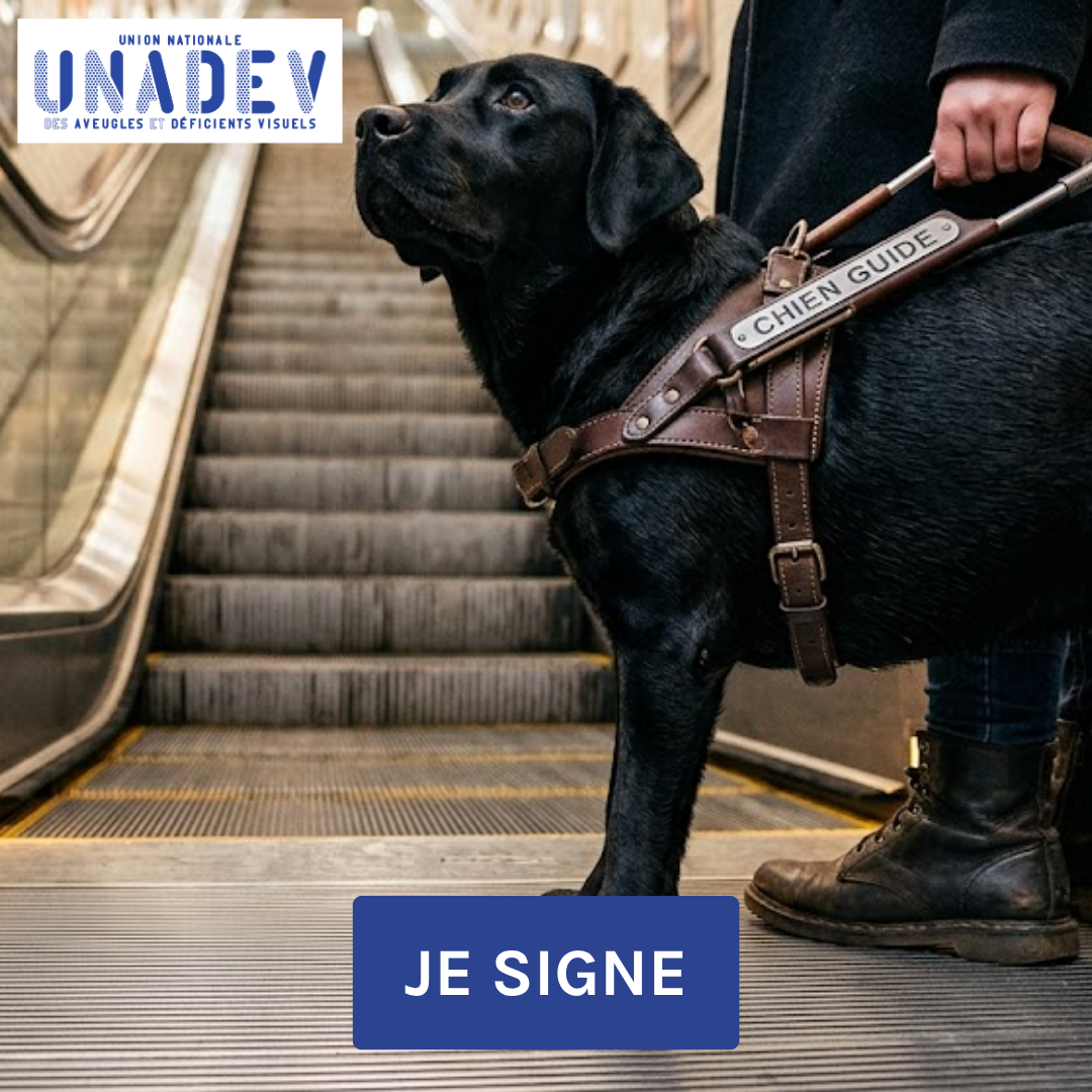 Unadev - Union Nationale des Aveugles et Déficients Visuels Facebook ad from Jun 3, 2026