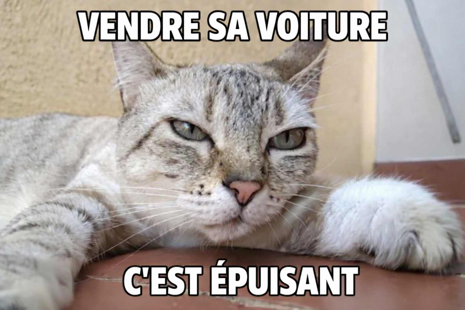 Raphaël Gayoso agent CapCar Facebook ad: Vendez votre voiture avec CapCar