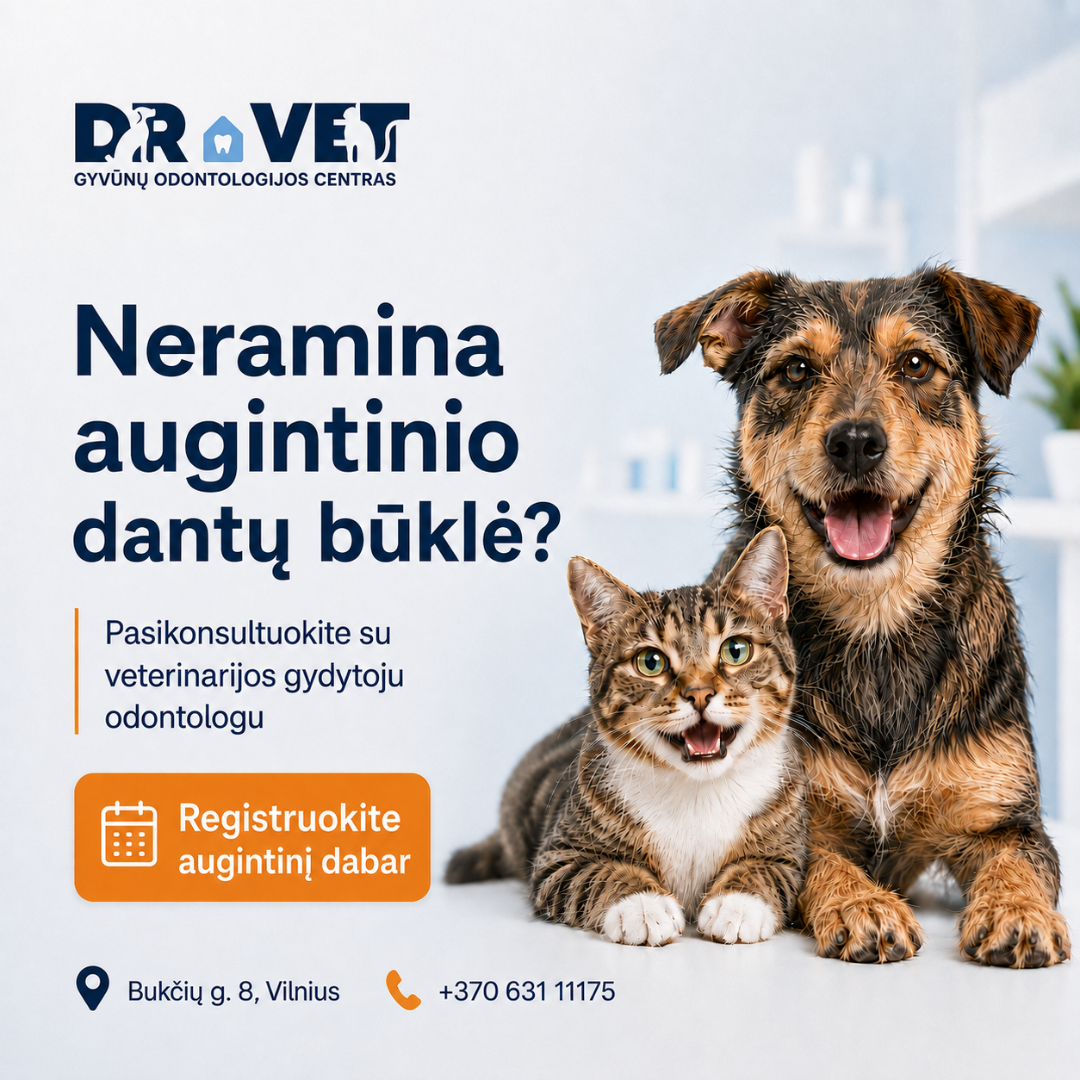 DR.VET Odontologija Facebook ad: Gyvūnų odontologo konsultacija