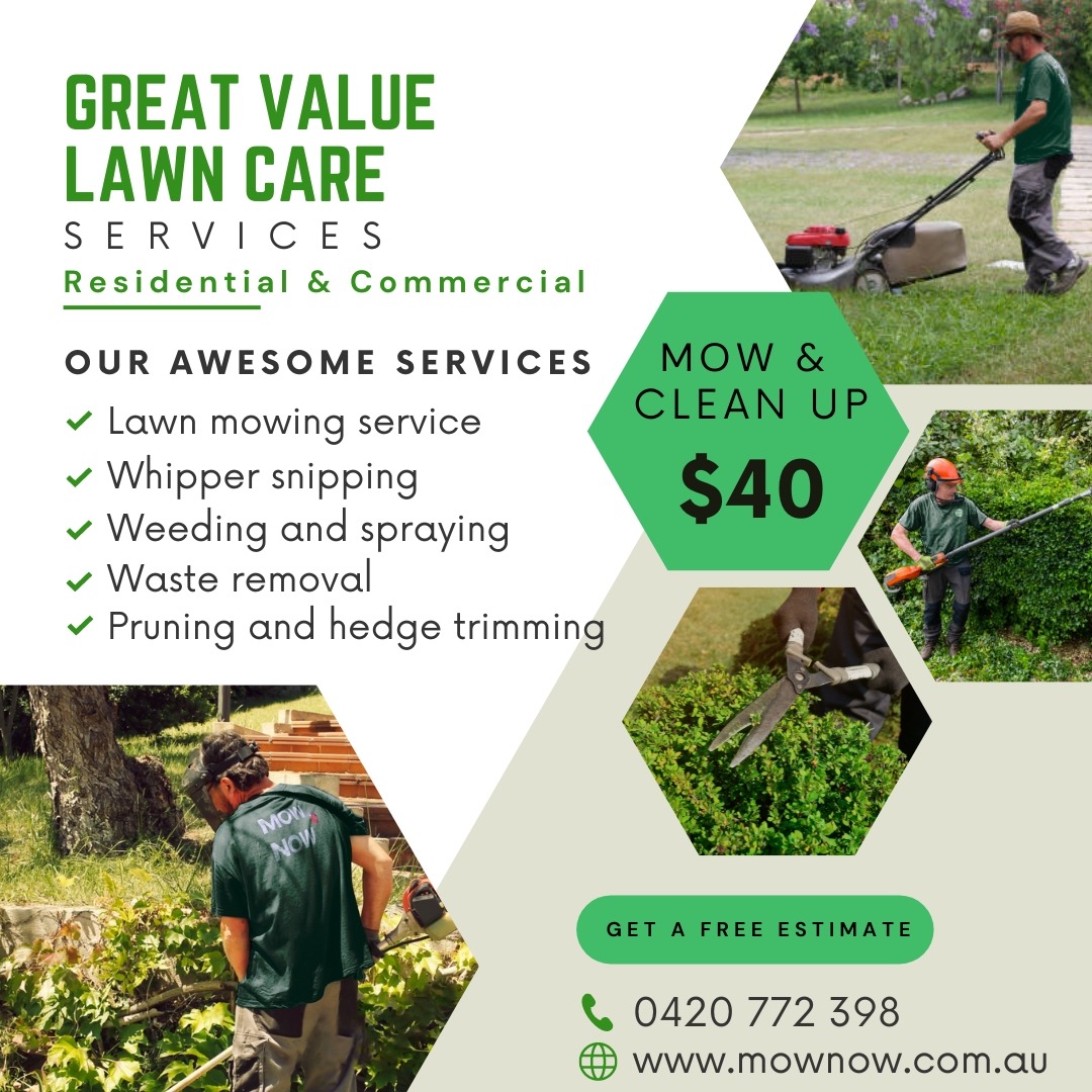 MOW NOW Facebook ad from Aug 31, 2025