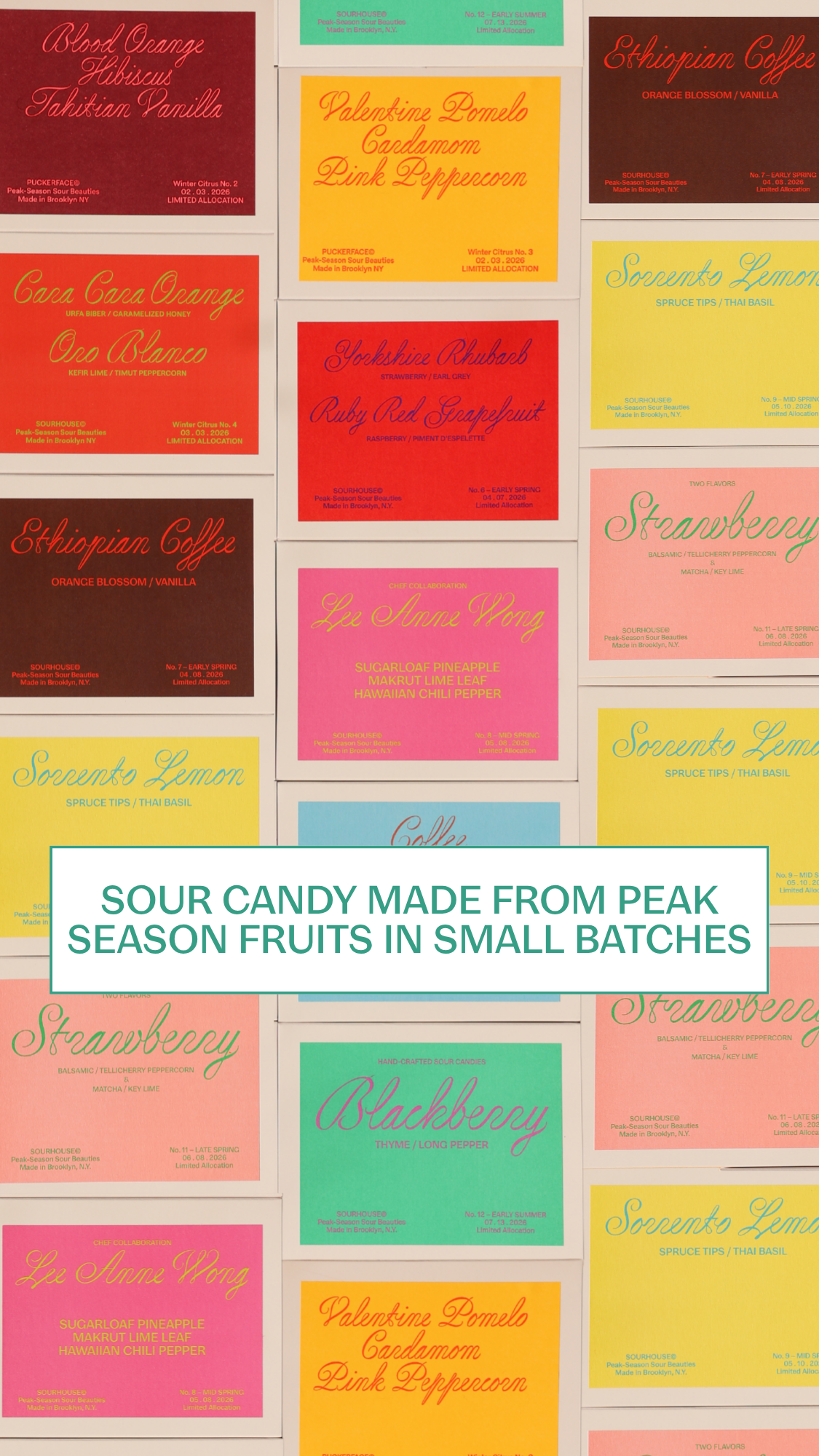 sourhouse.nyc Facebook ad: Sourhouse is on a mission to make the…