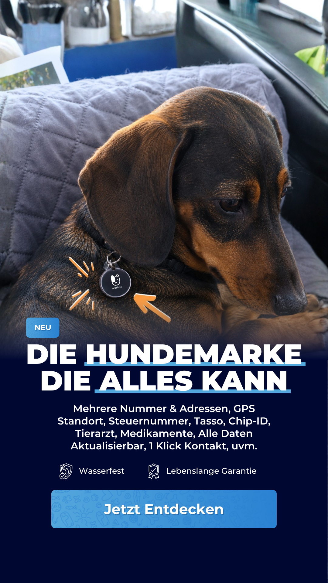 Wooftag. Facebook ad