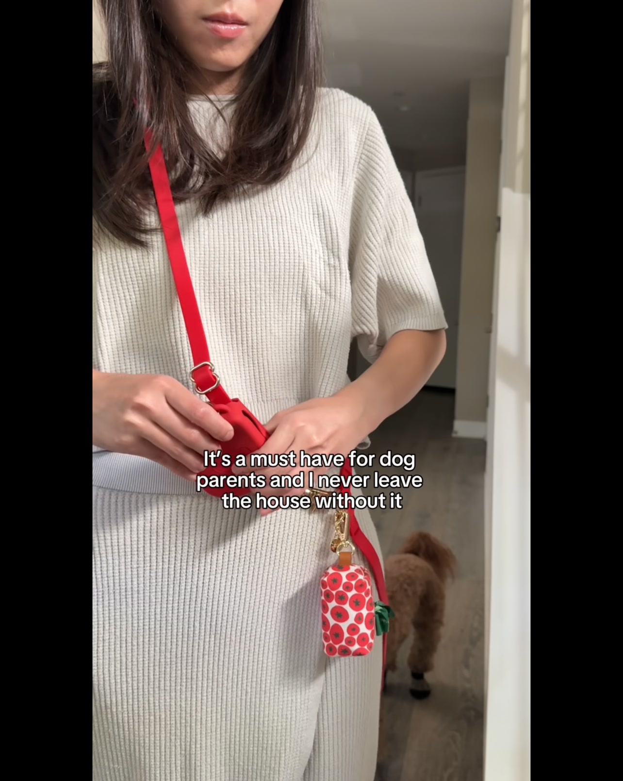 Shop Sunny Tails Facebook ad from Aug 13, 2026