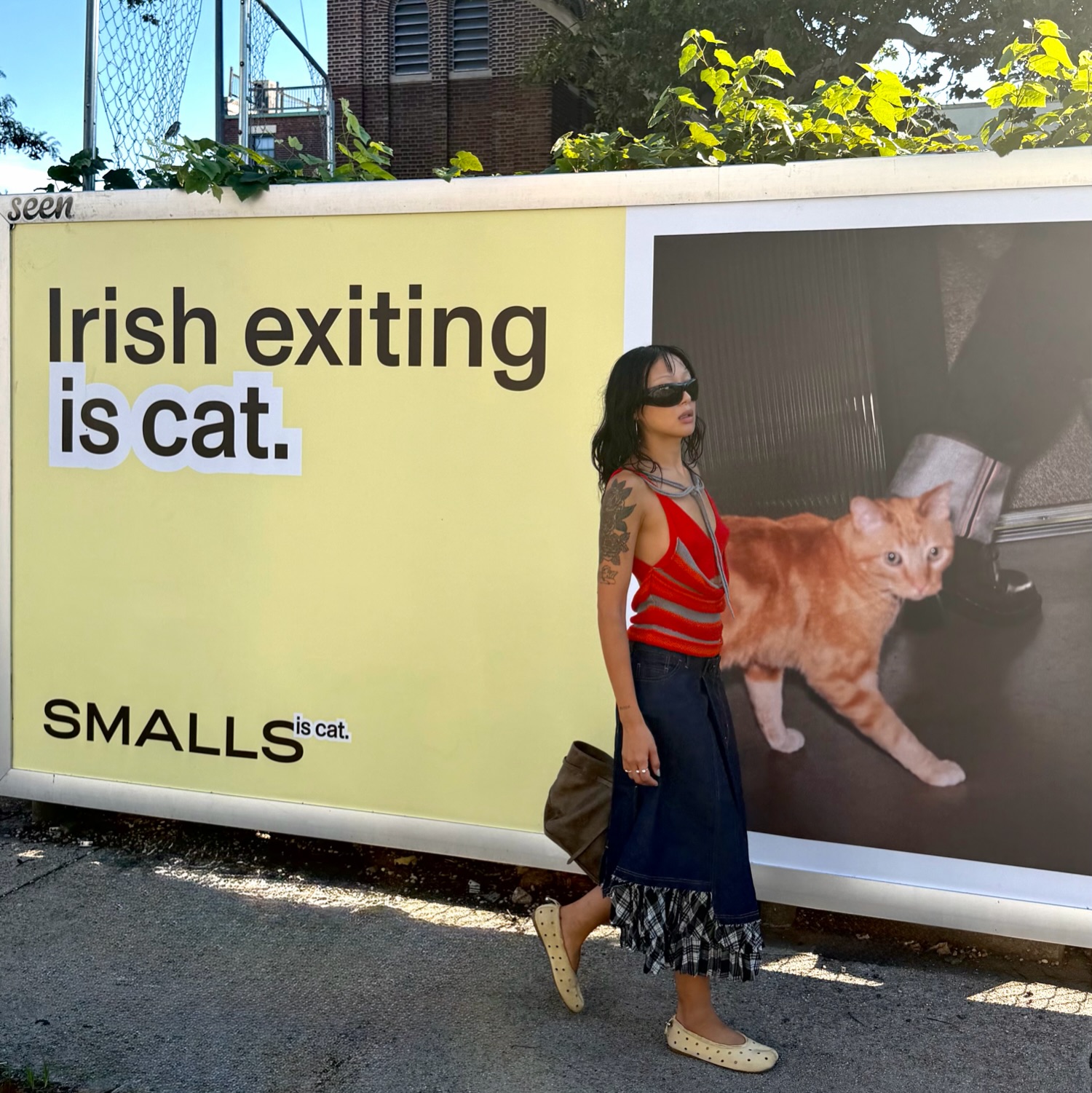 Smalls Facebook ad: cats are big time misunderstood.