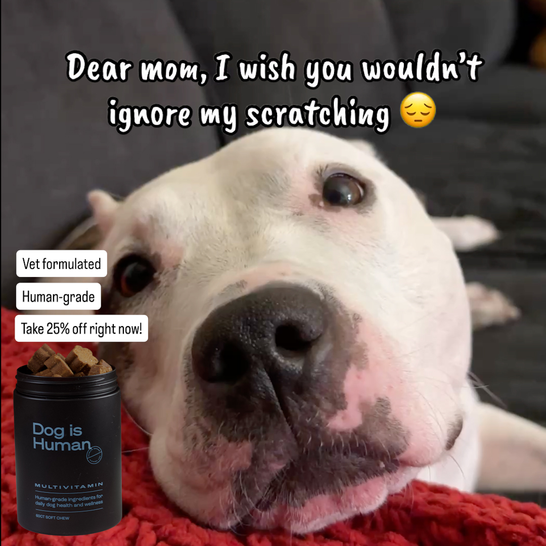 Dog is Human Facebook ad