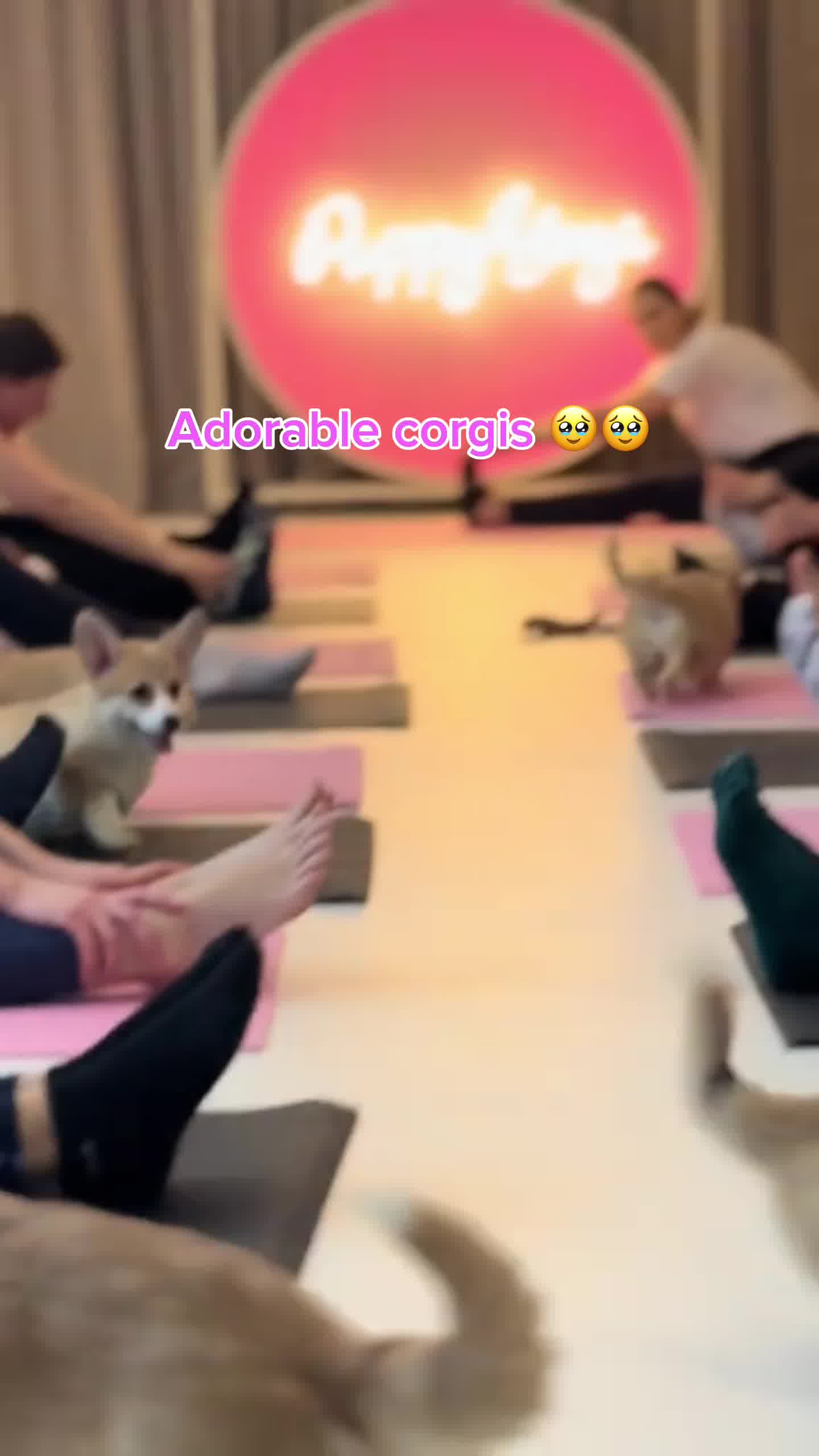Puppies & Yoga Dallas Facebook ad: Book your class now!