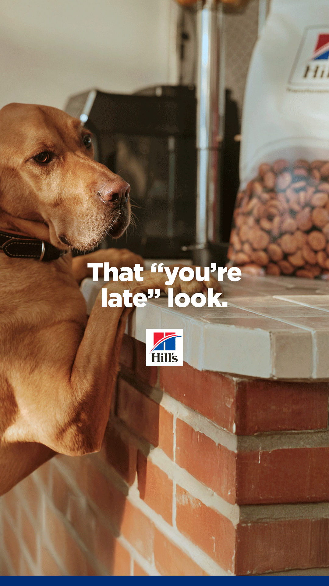 Hill’s Pet Nutrition Facebook ad