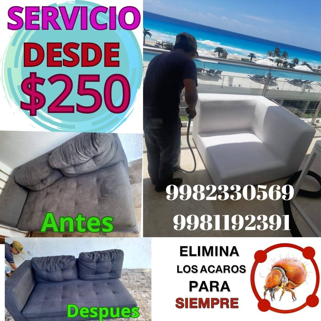 Cleaning and disinfection azpeitia Facebook ad: Chatea en Messenger