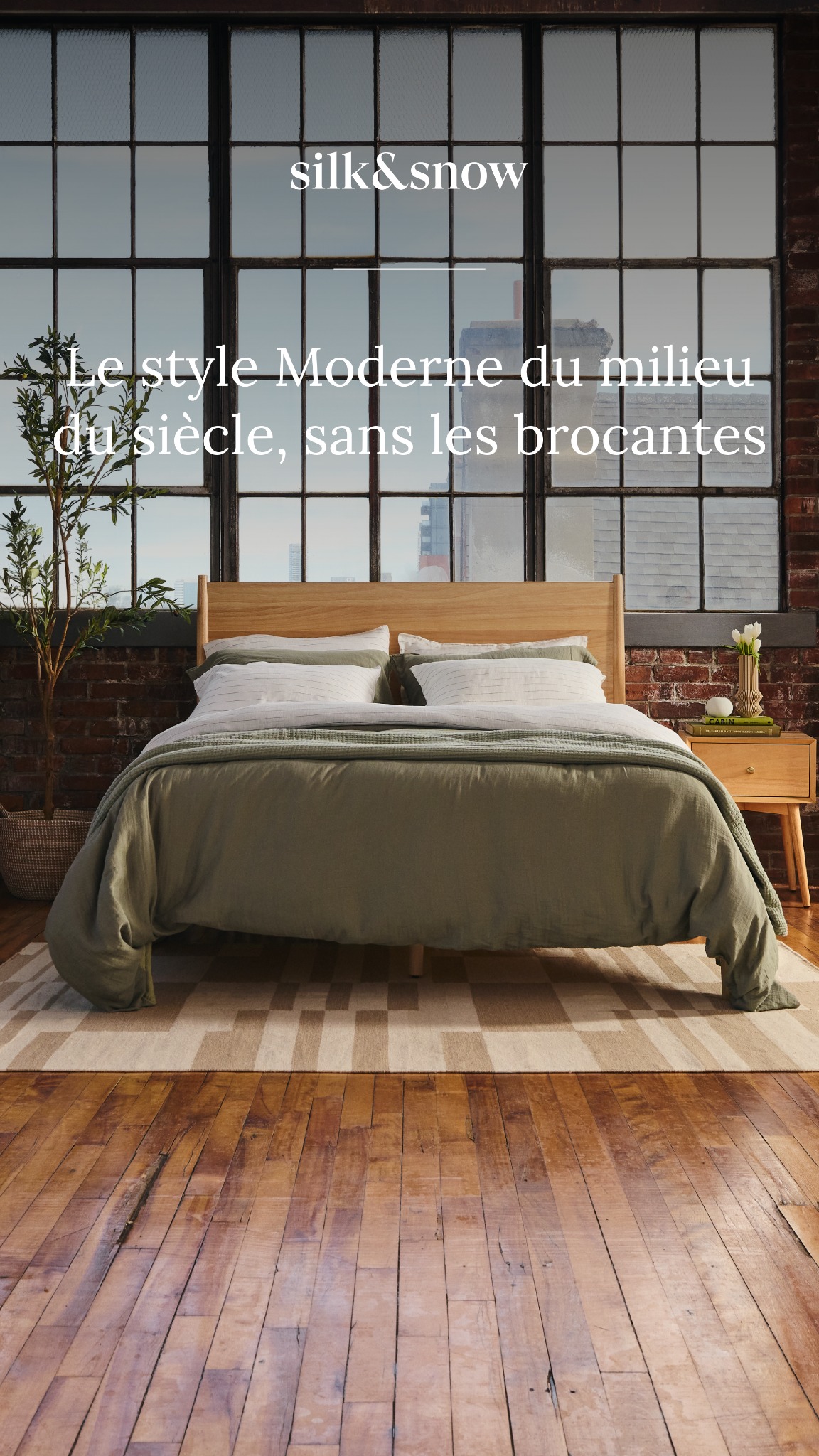 Maison Silk & Snow Facebook ad