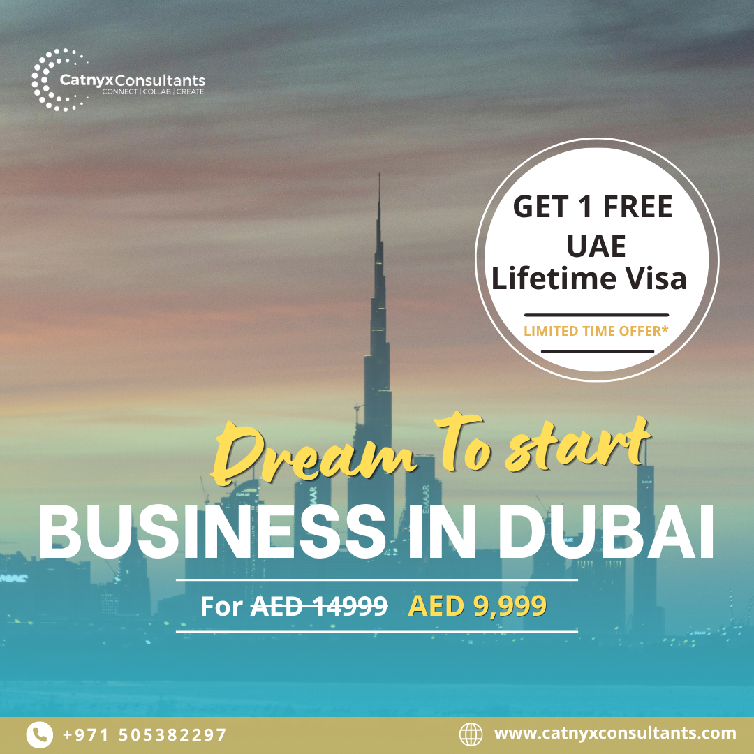 Catnyx Consultants Facebook ad: Connect With Business Setup Expert Now!