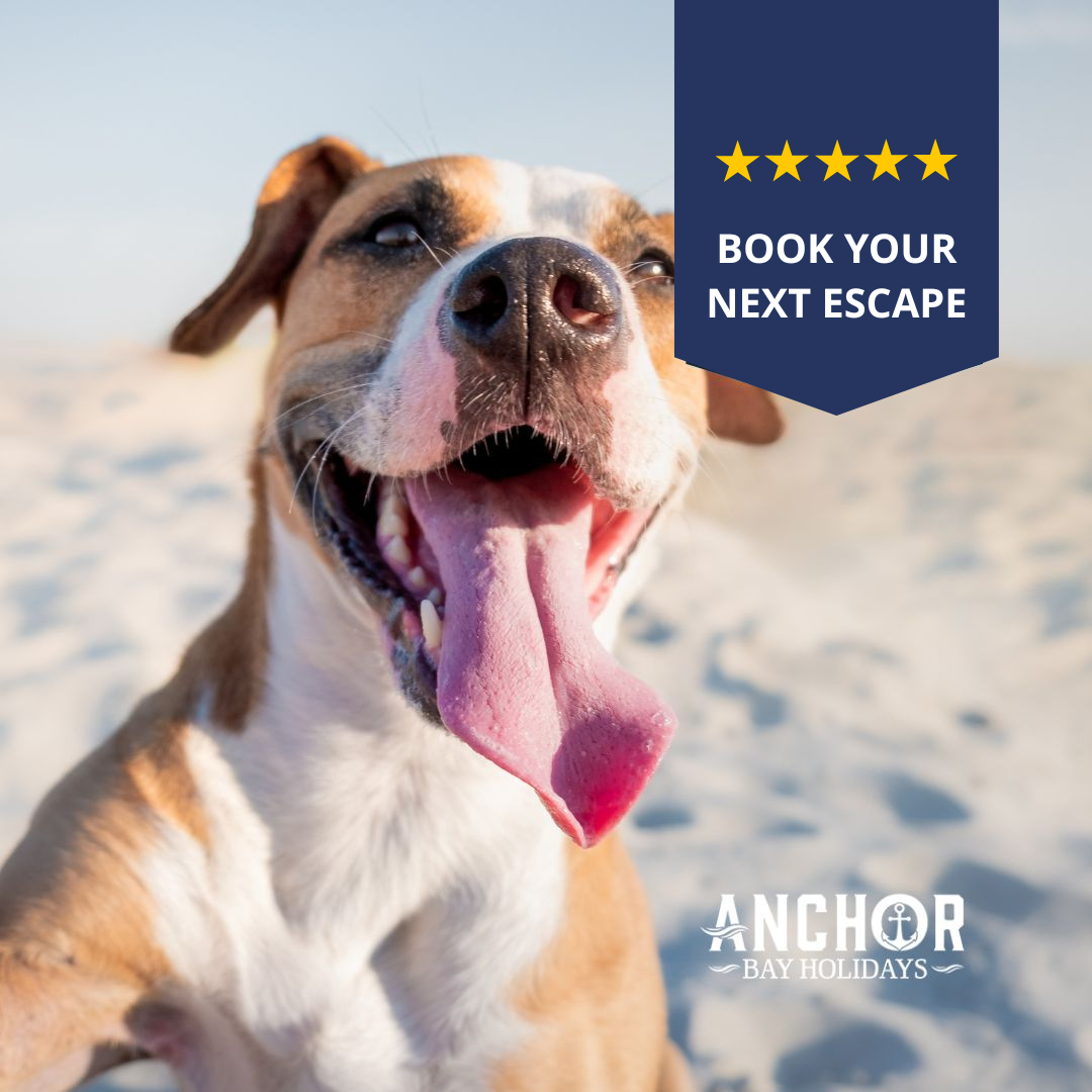 Anchor Bay Holidays Facebook ad