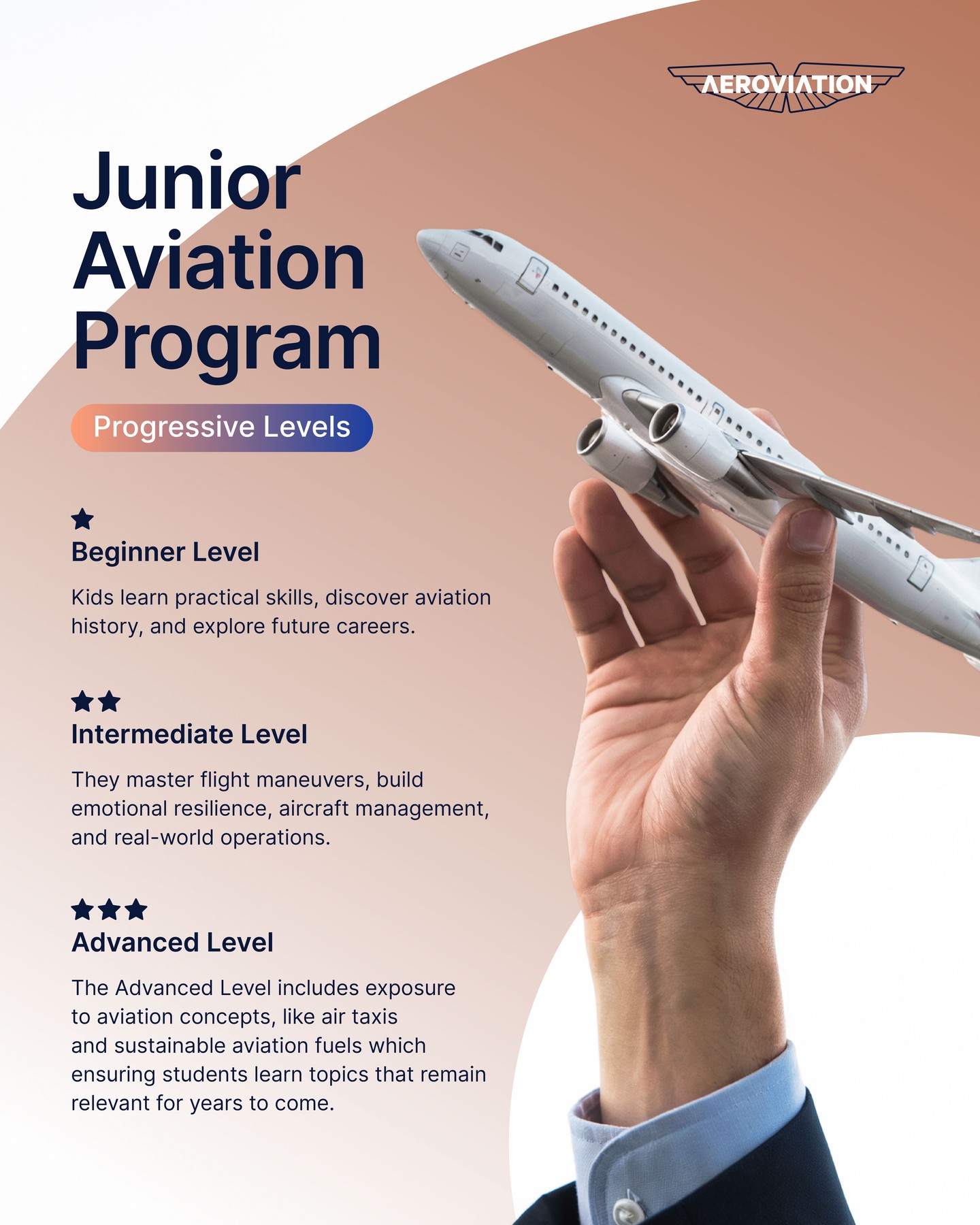 Aeroviation Facebook ad