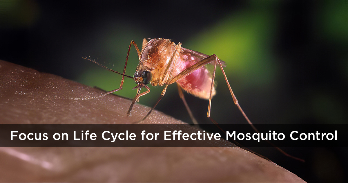 Pest Management Professional magazine Facebook ad
